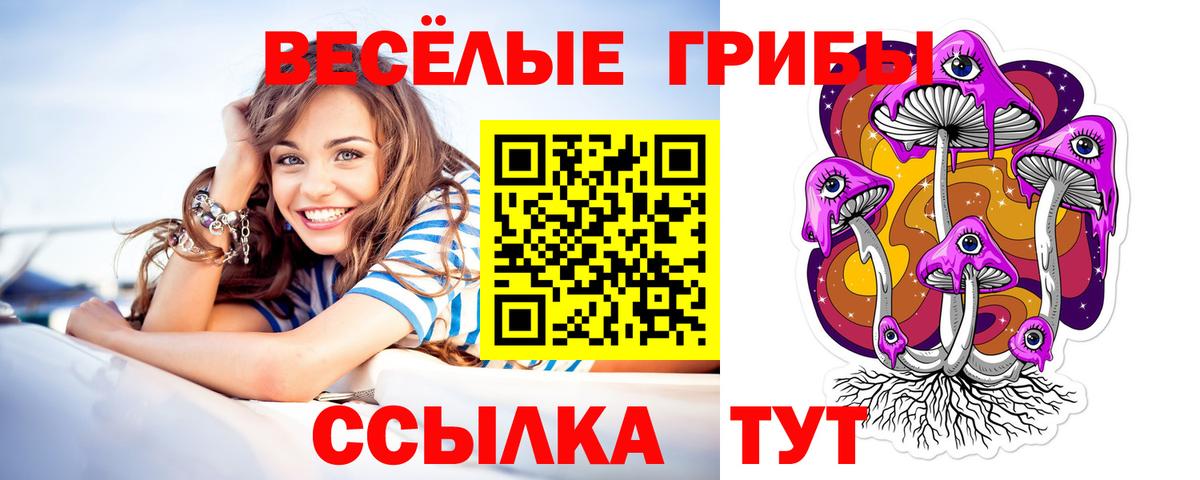 Медногорск  Галлюциногенные грибы Magic Shrooms  Вход с VPN 